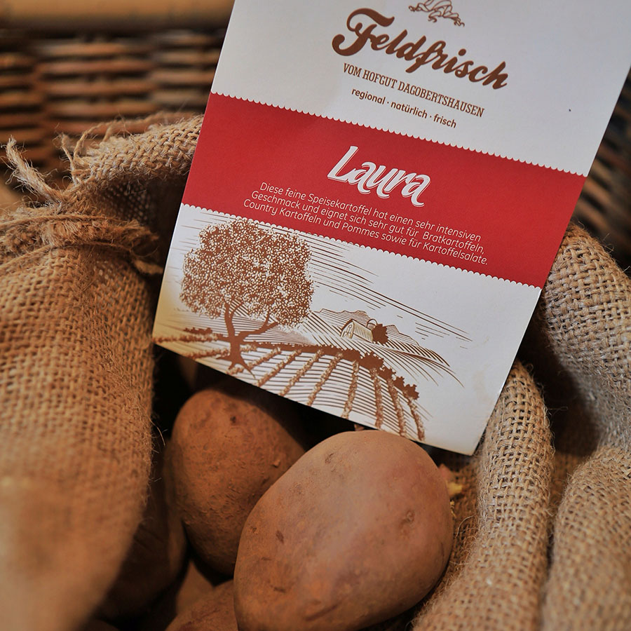 Kartoffel Laura, Hofgut Dagobertshausen 
